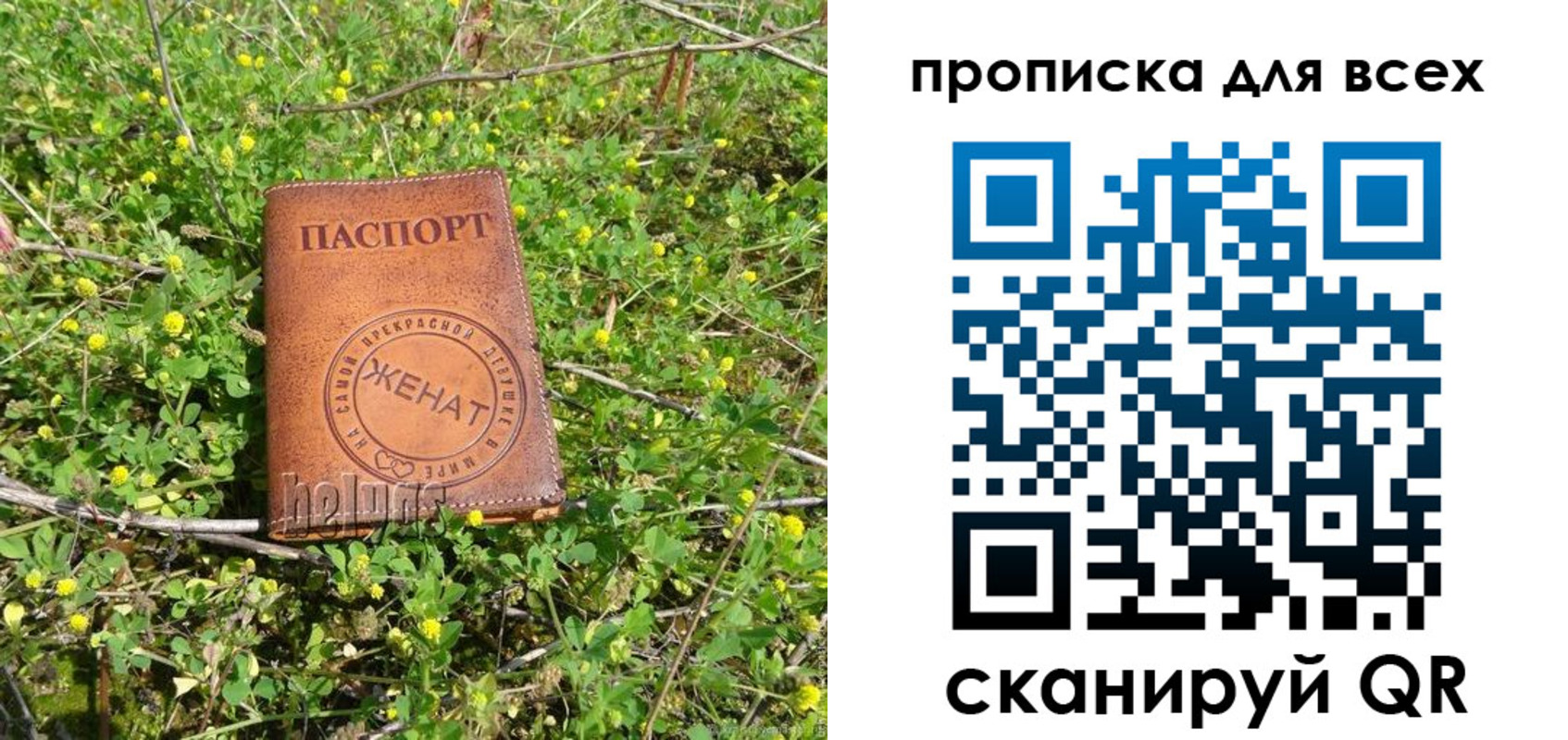 прописка поиск в Жуковском
